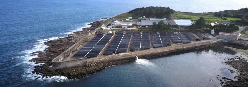 Stolt Sea Farm está trabajando en un nuevo proyecto de I+D