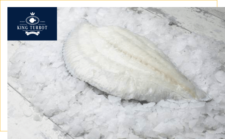 king-turbot-product