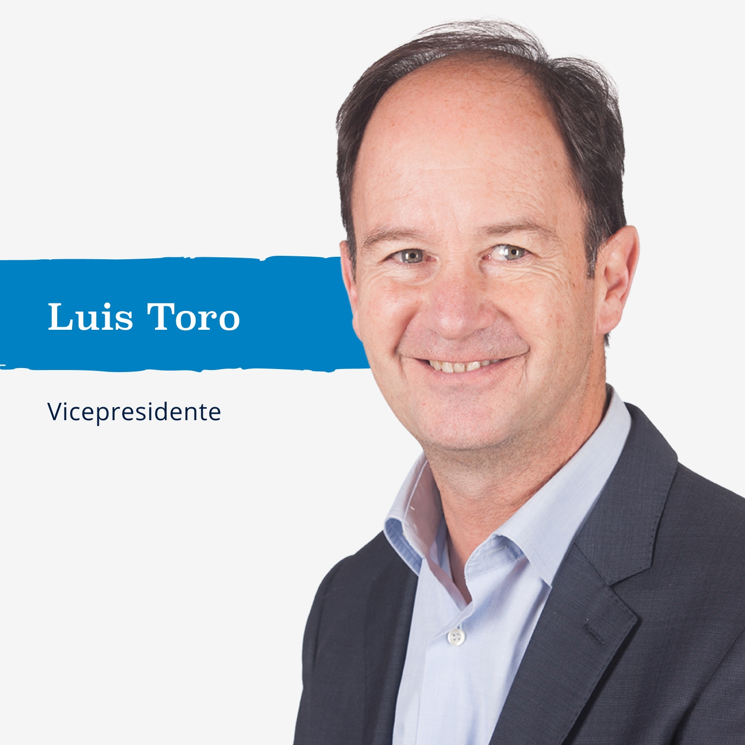 Luis Toro