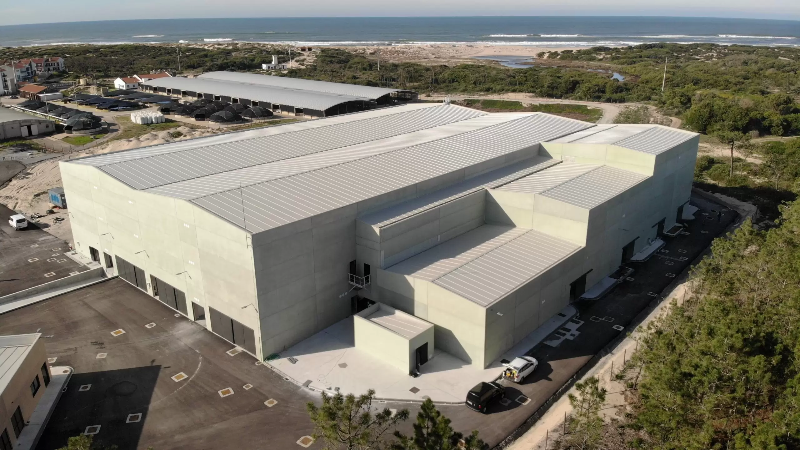 First Sole Harvest for Stolt Sea Farm at new Tocha Site